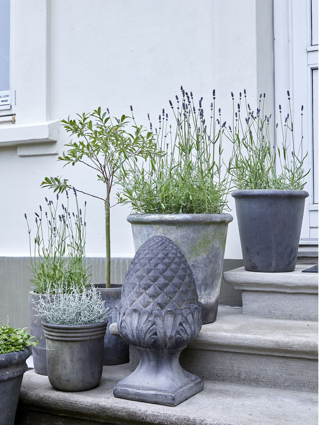 Kogle i cement Therese - lille