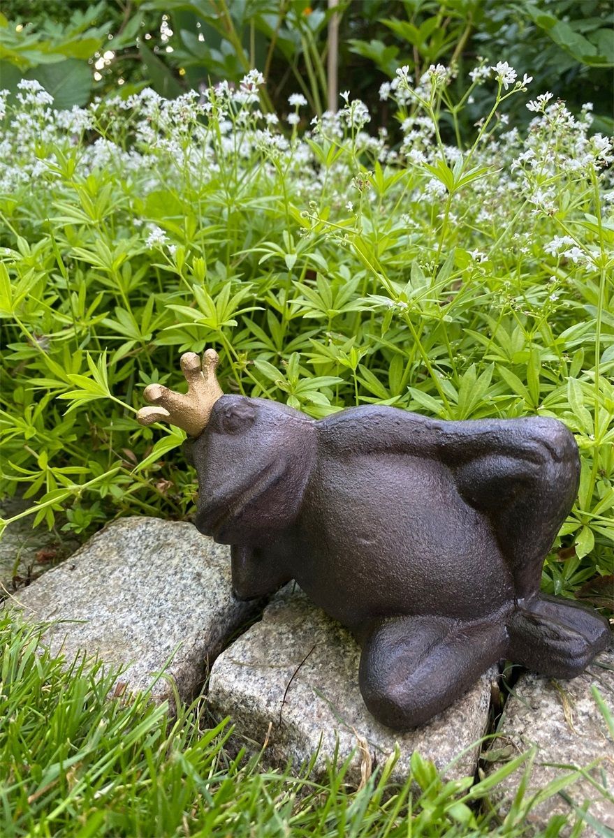 Buddha frø