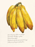 Plakat med bananer ( prisen er uden ramme)