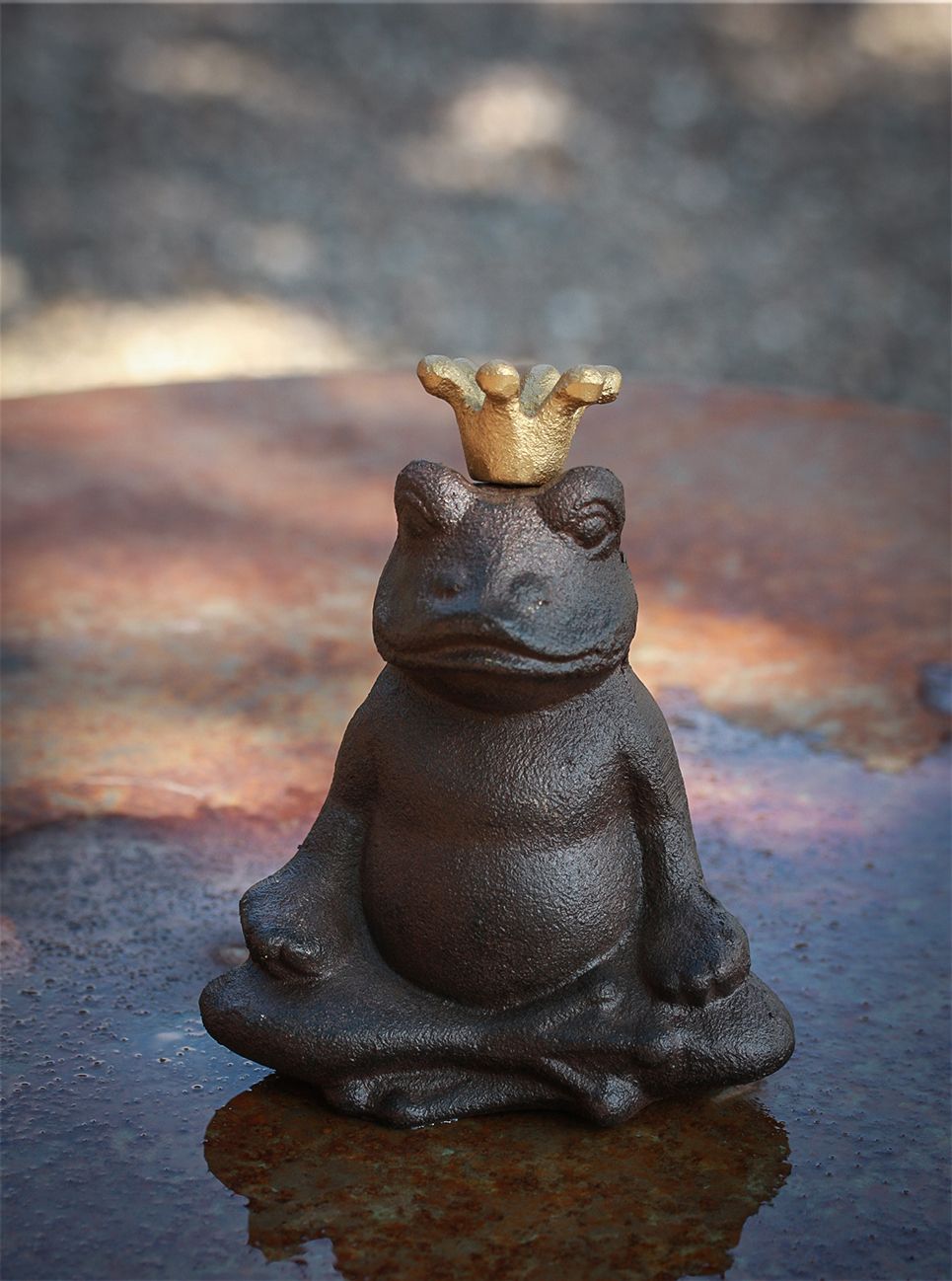 Buddha frø