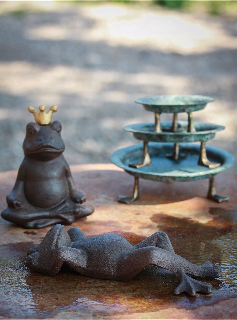 Buddha frø