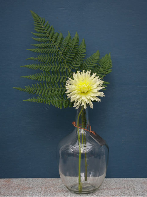 Glasflaske 25 cm