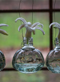 Mini vase