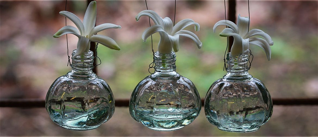 Vase  "Forrest"