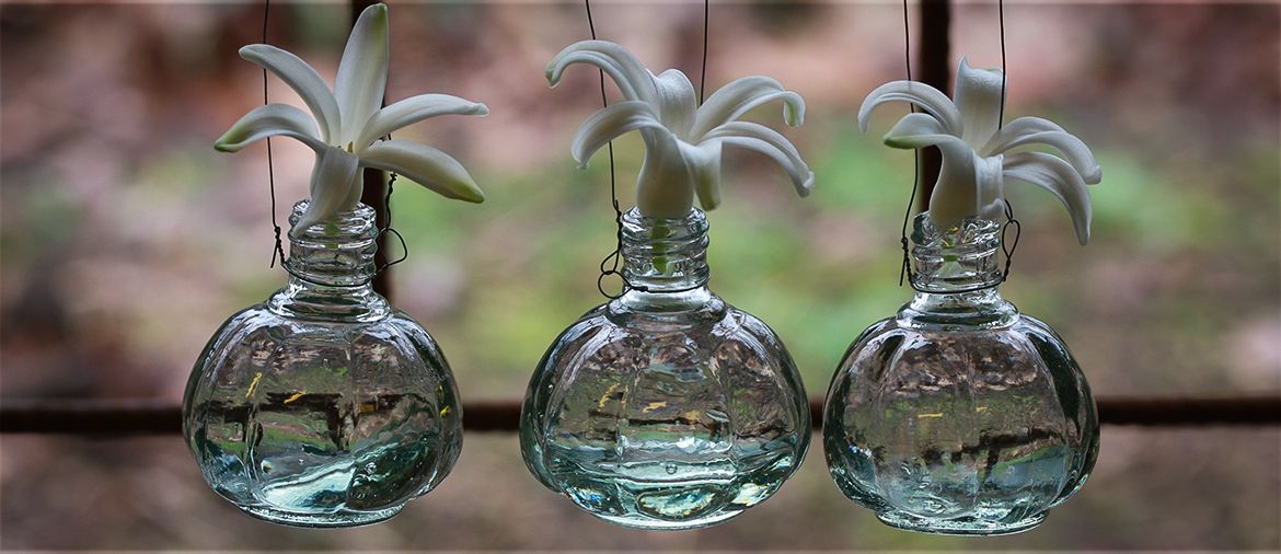 Vase  "Forrest"