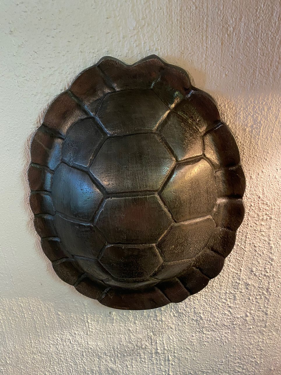 Skildpaddeskjold