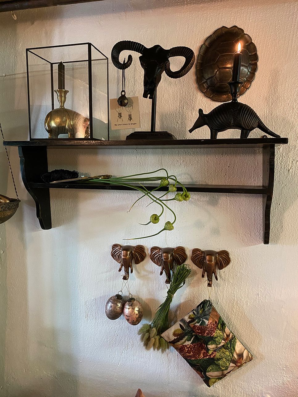 Vædderkranie med horn