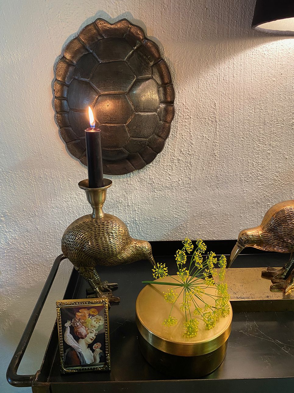 Skildpaddeskjold