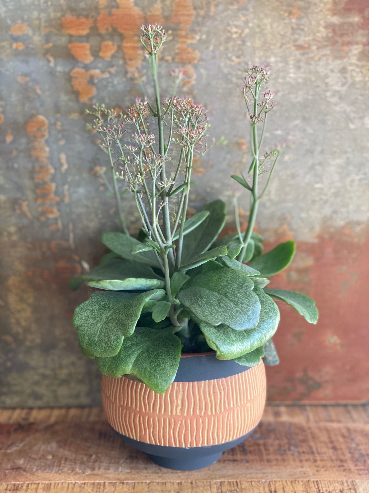 Blomster potte