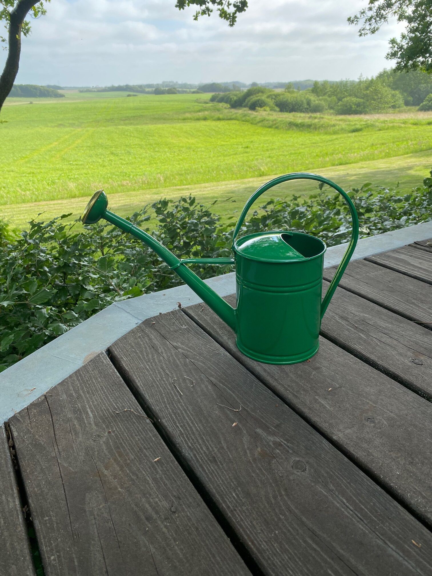 Vandkande 2 liter
