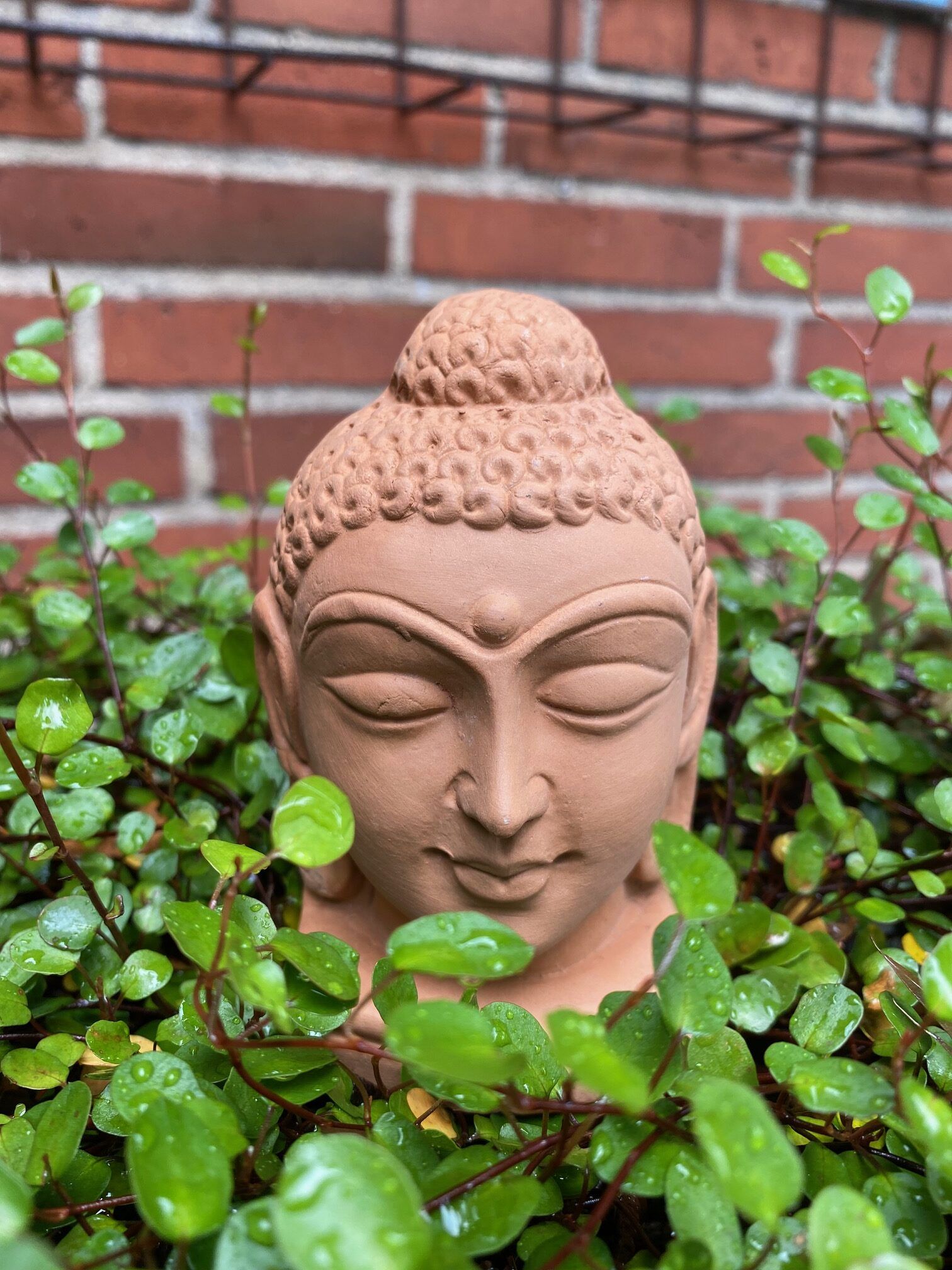 Buddha
