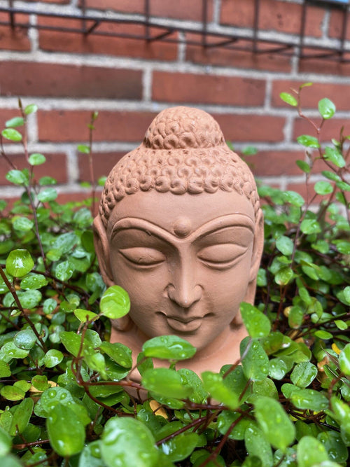 Buddha