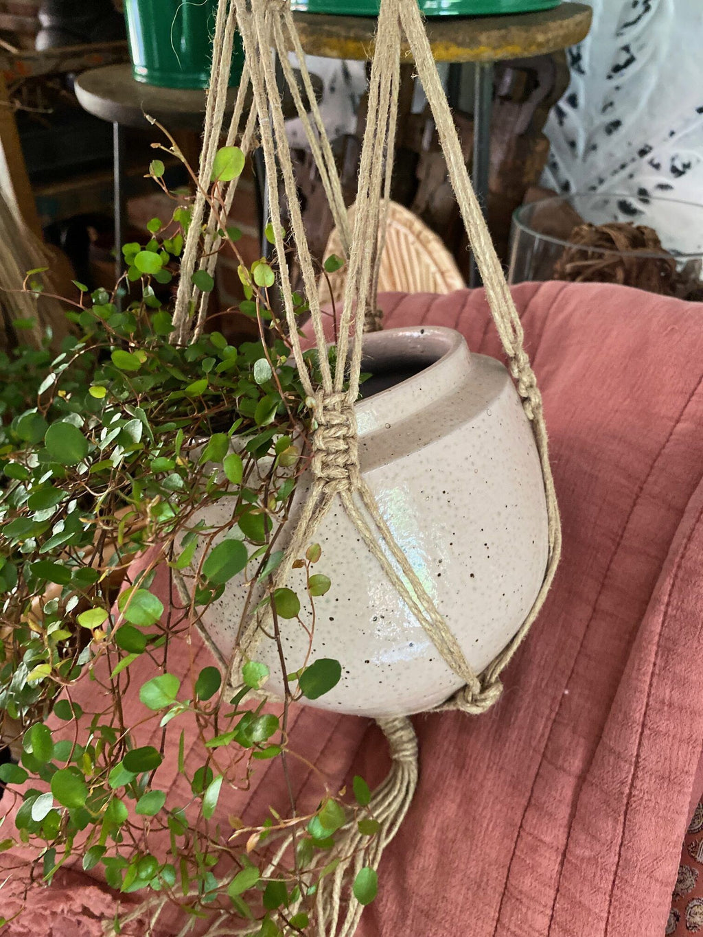 Potte rosa med pletter