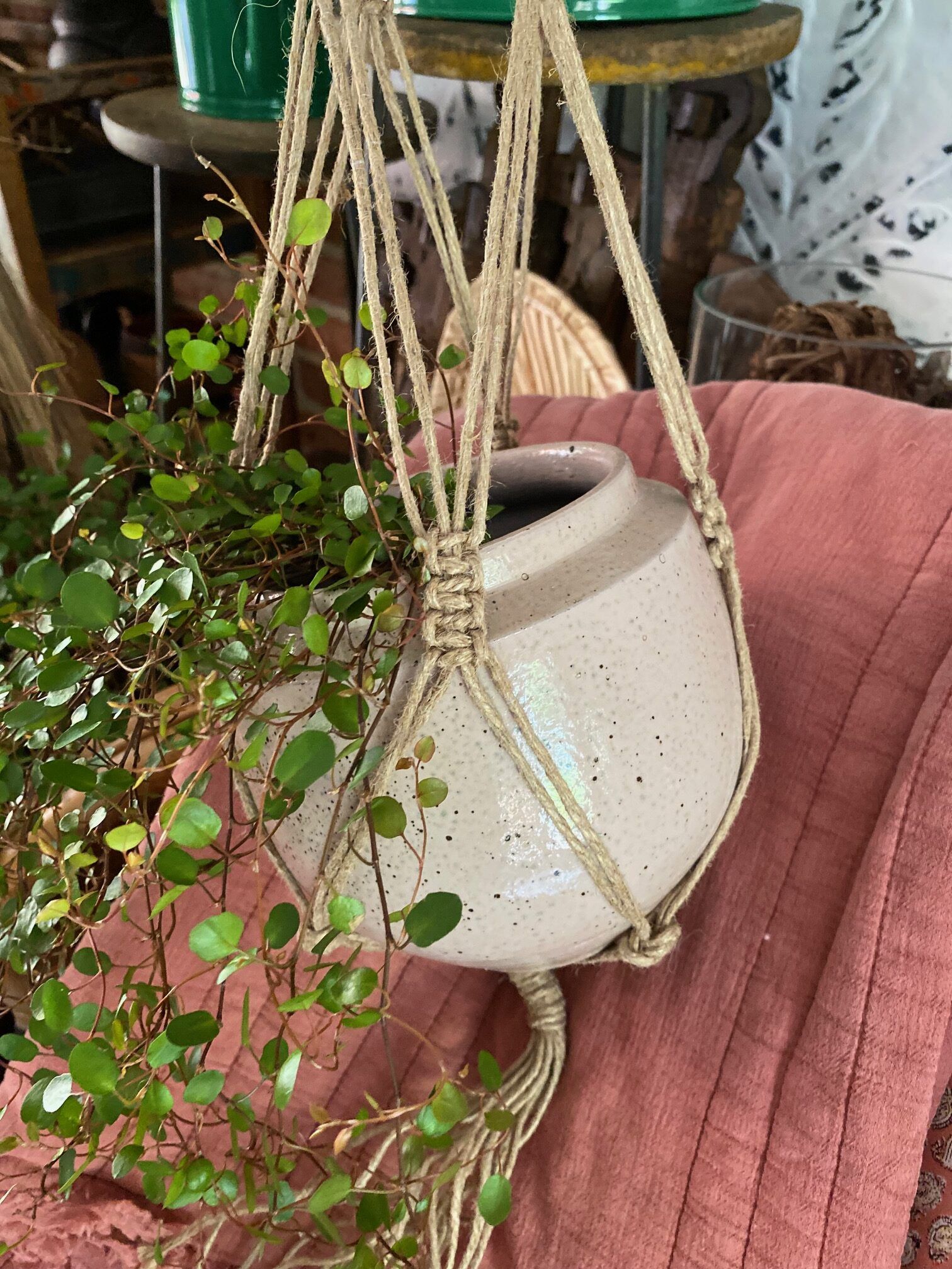 Potte rosa med pletter