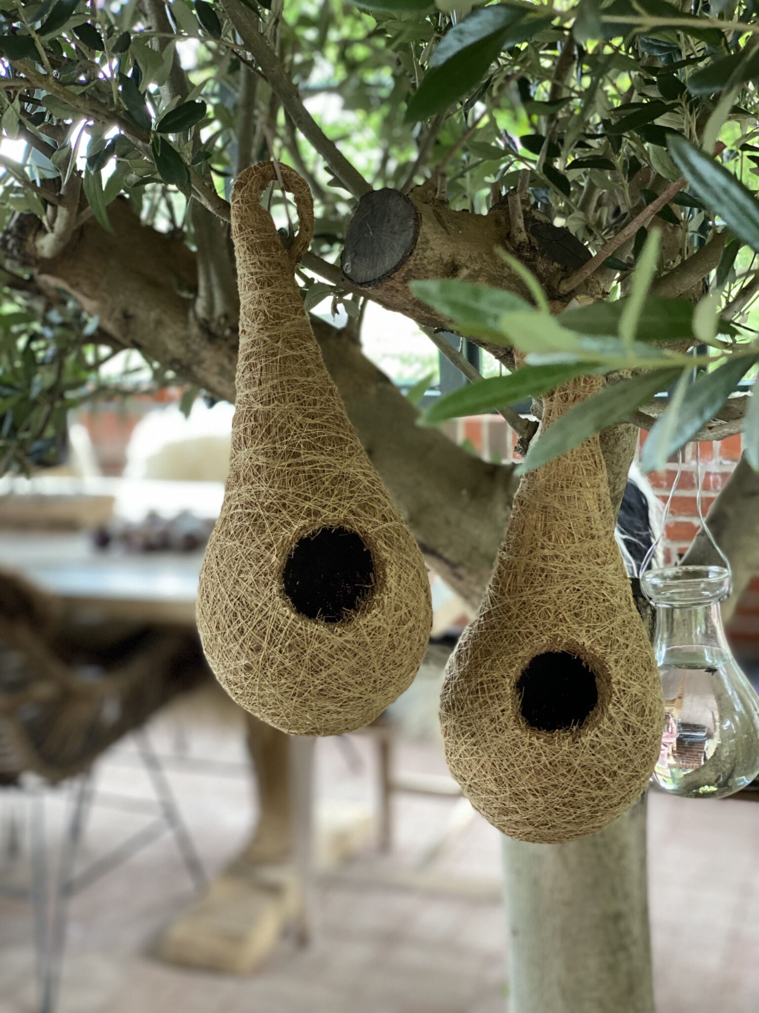 Planteophæng / fuglerede