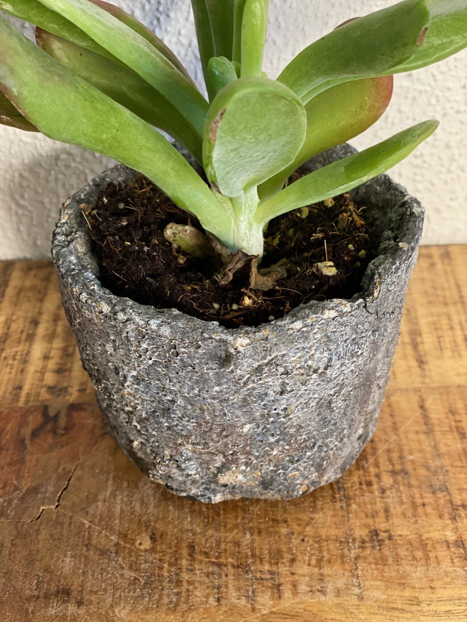 Potte lavet af metal/cement