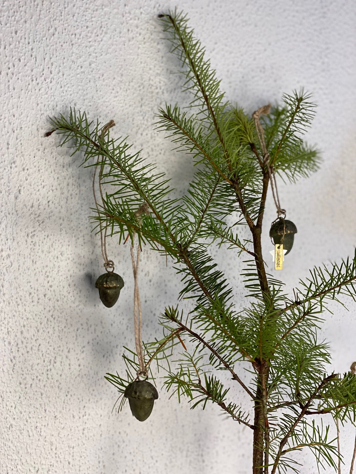 Små, fine agern
