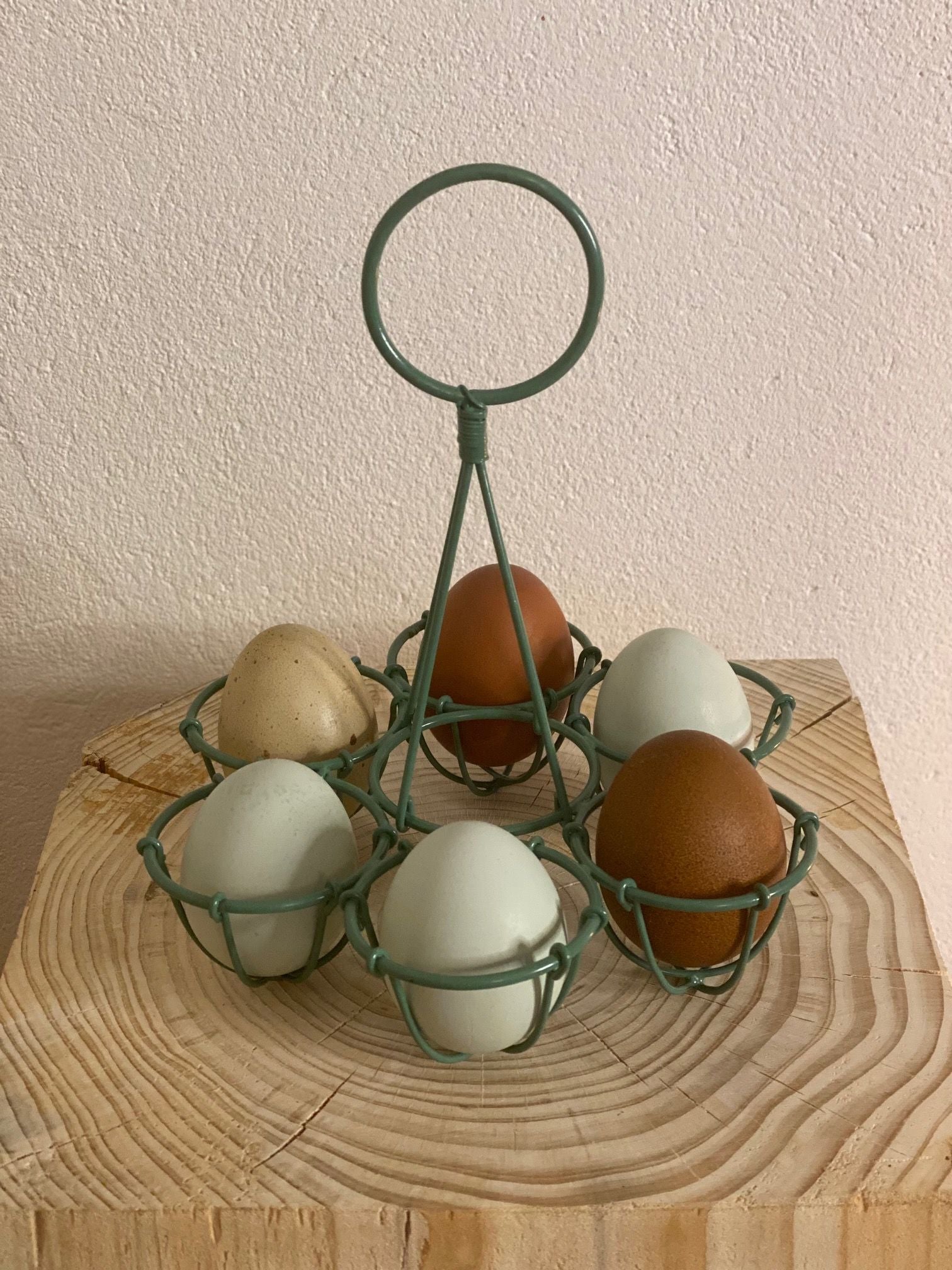 Æg-holder