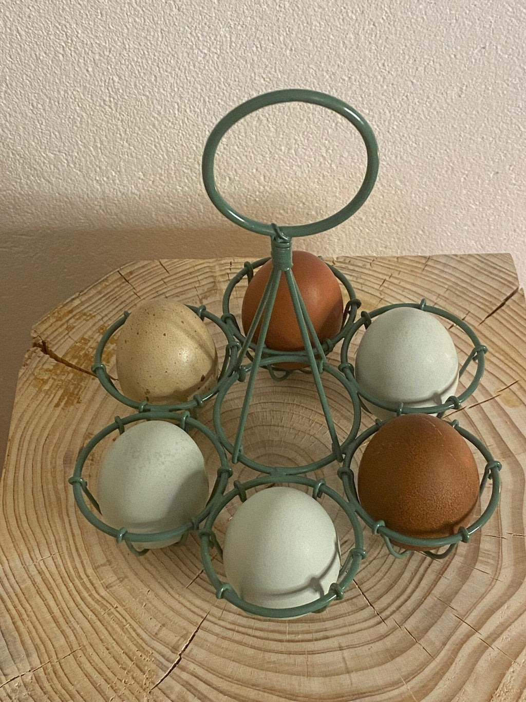 Æg-holder
