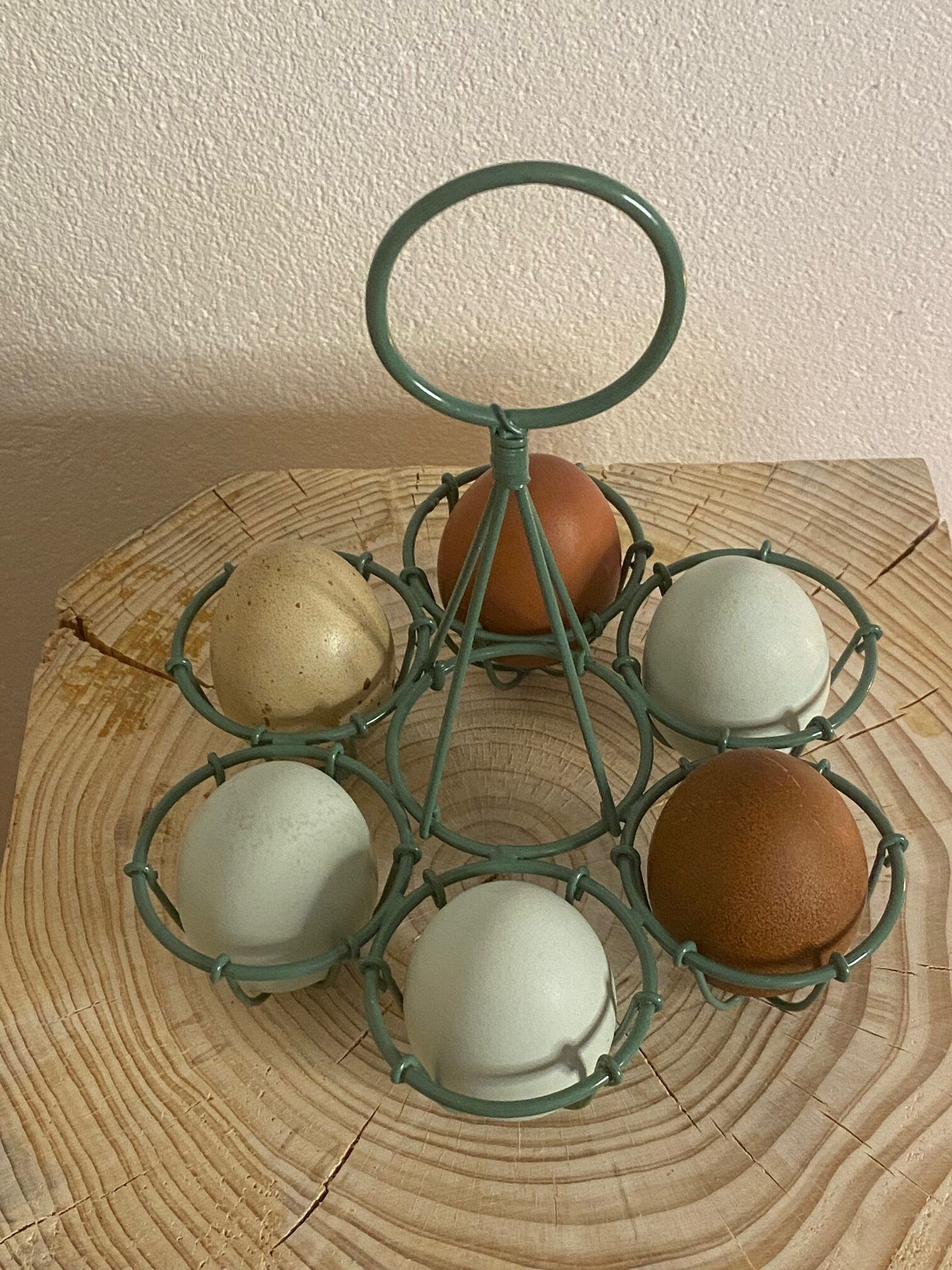 Æg-holder