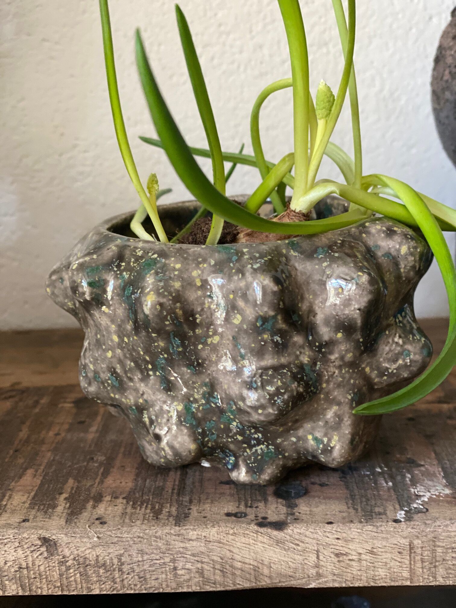 Skulptur-potte
