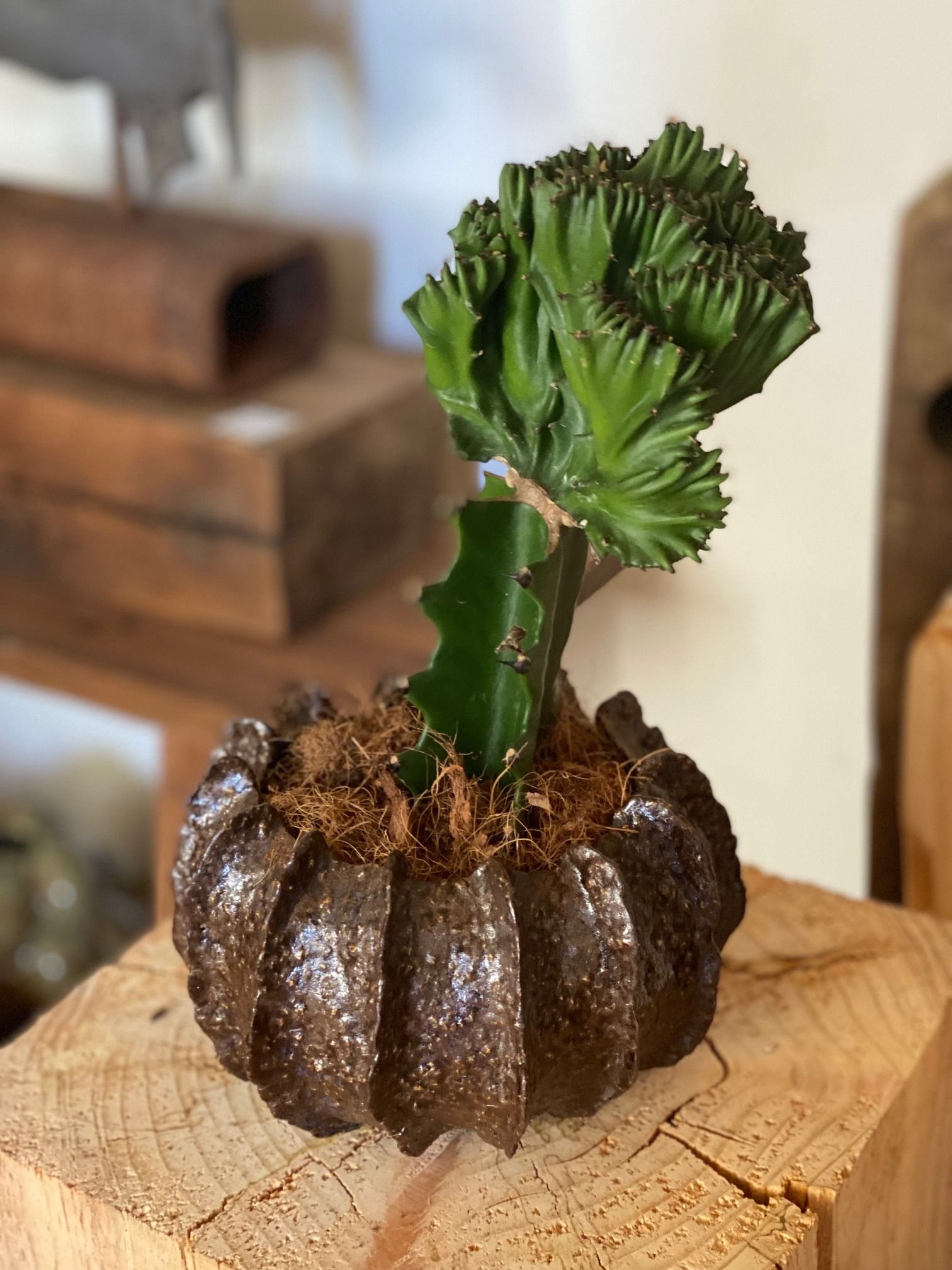 Skulptur-krukke med lameller