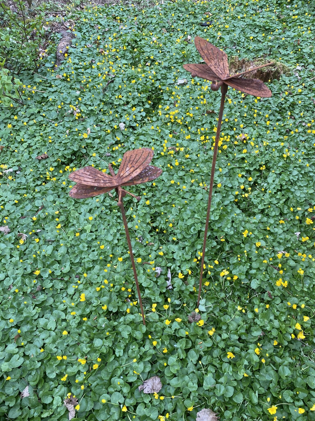Sommerfugl