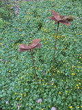 Sommerfugl