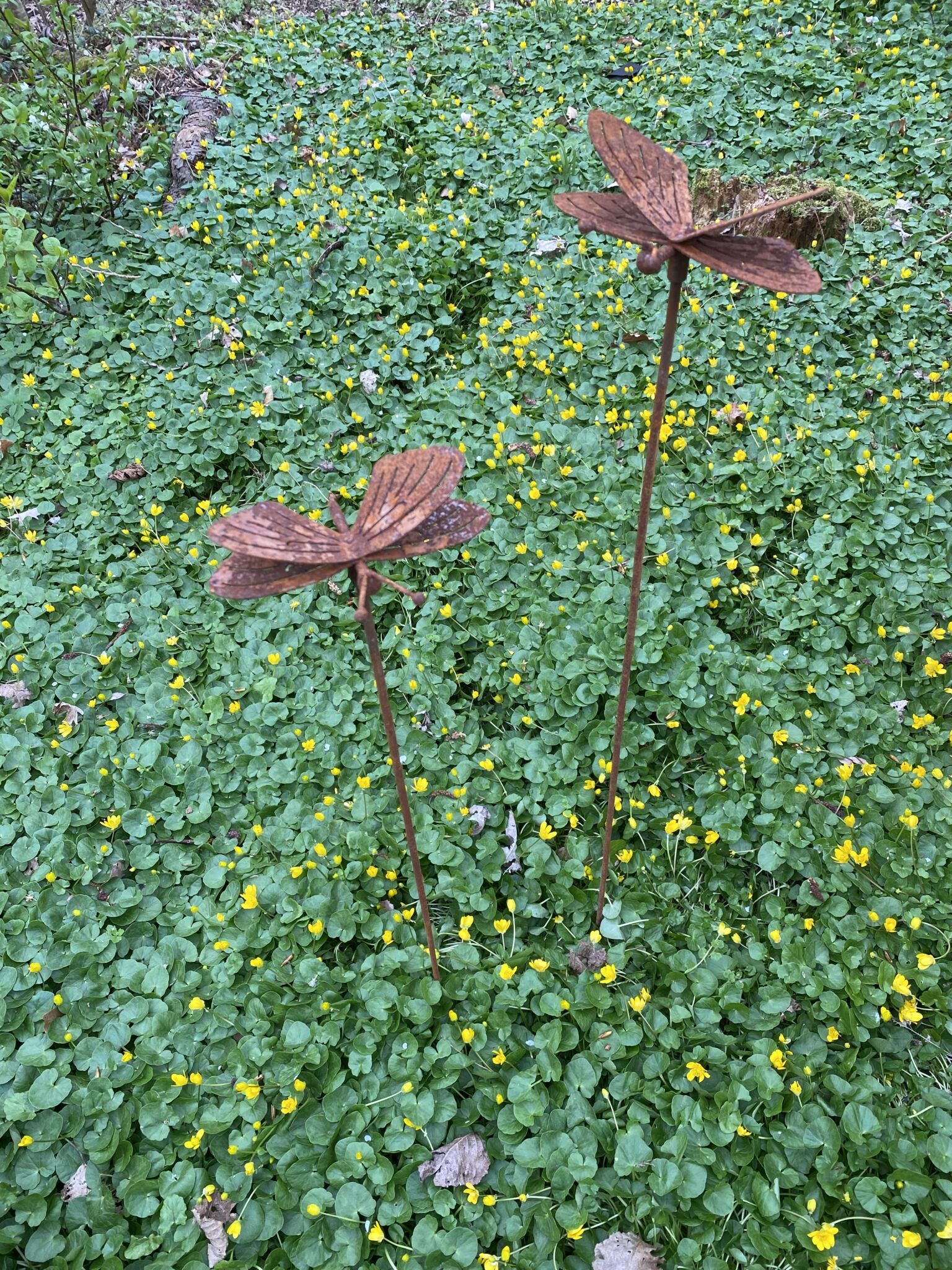 Sommerfugl