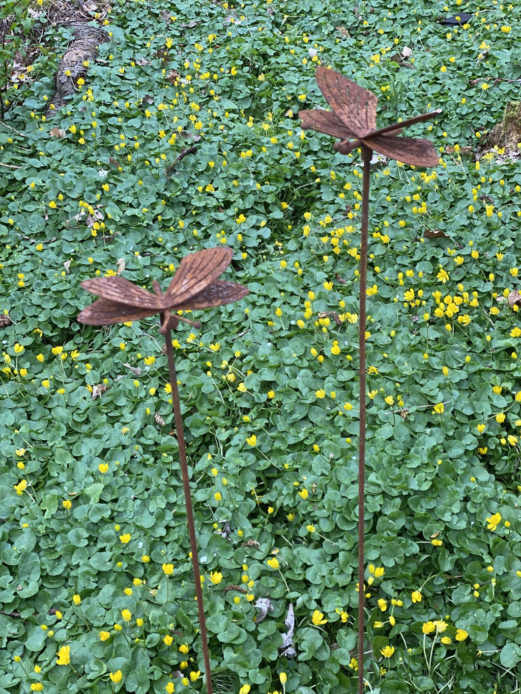 Sommerfugl