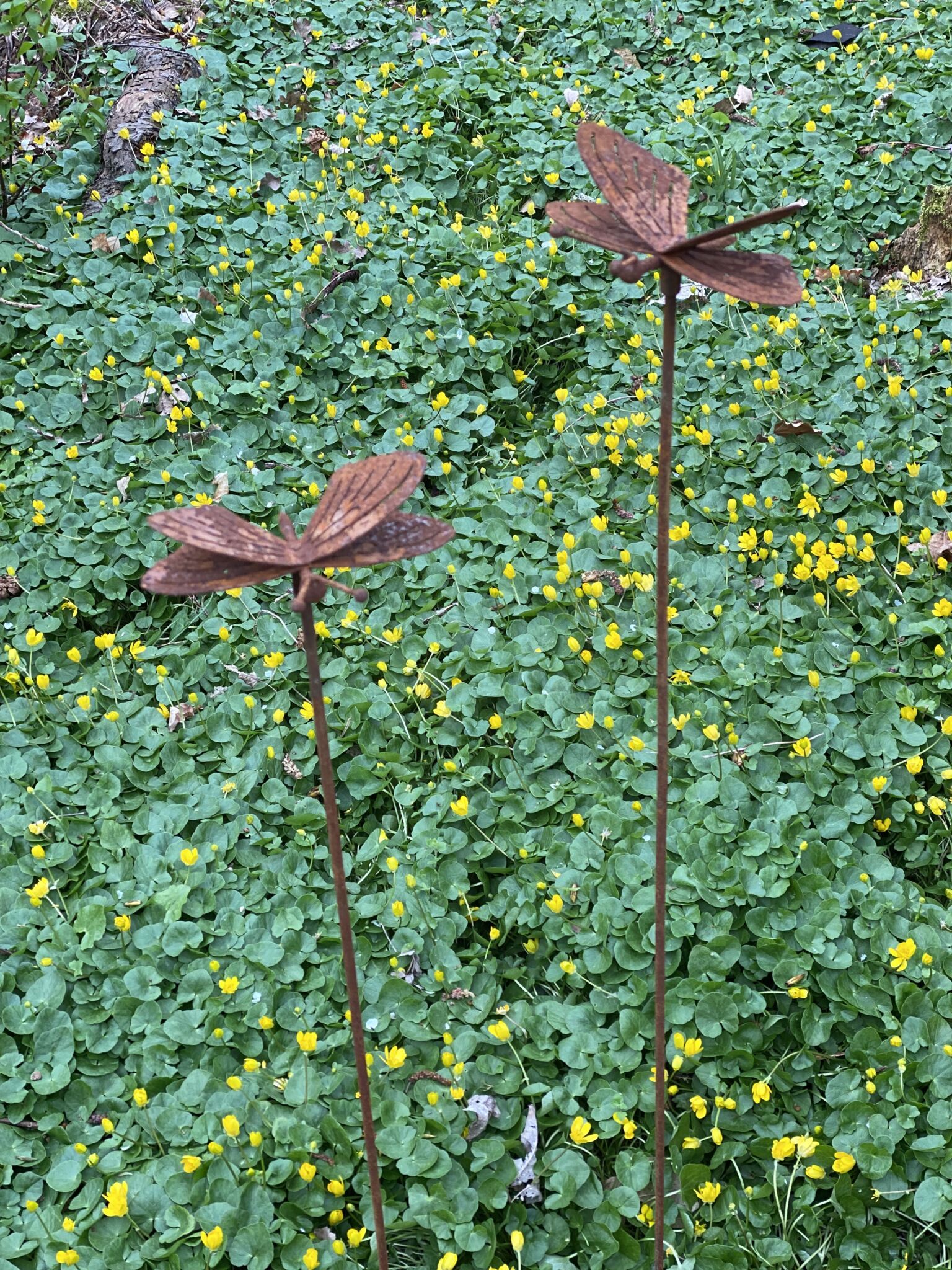Sommerfugl