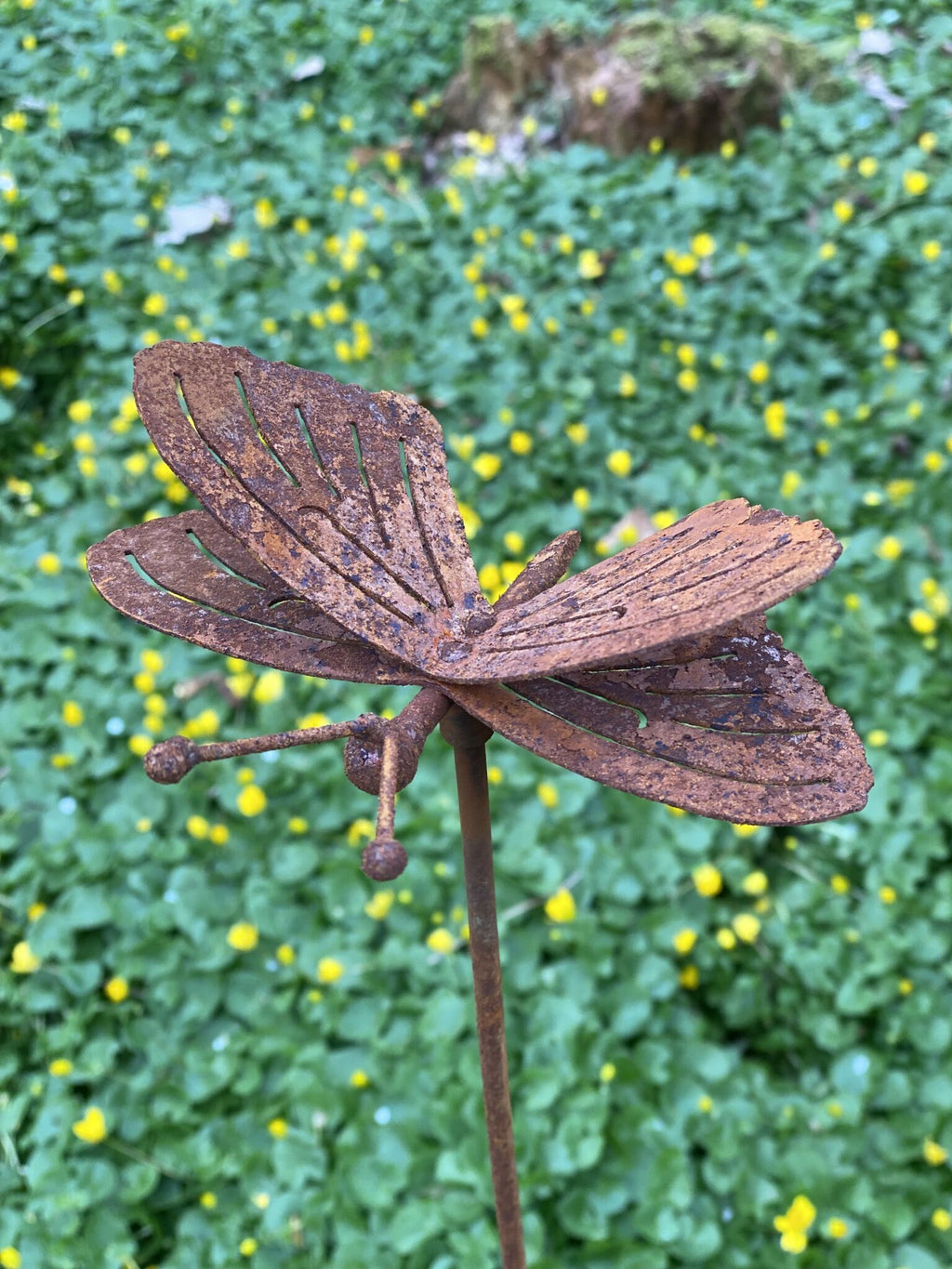 Sommerfugl