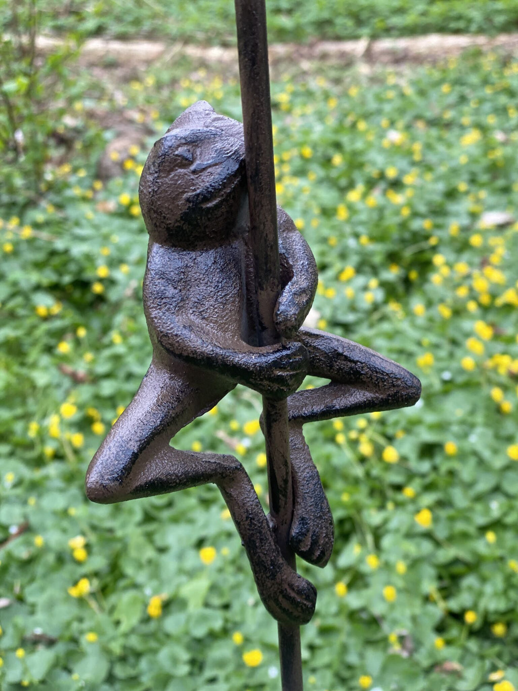 Regnmåler med frø