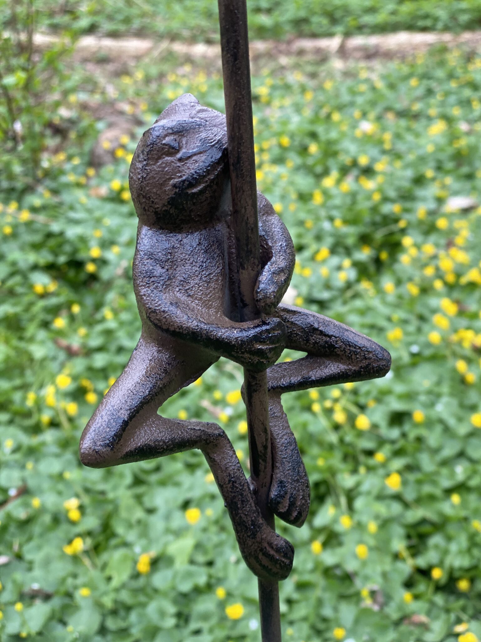 Regnmåler med frø