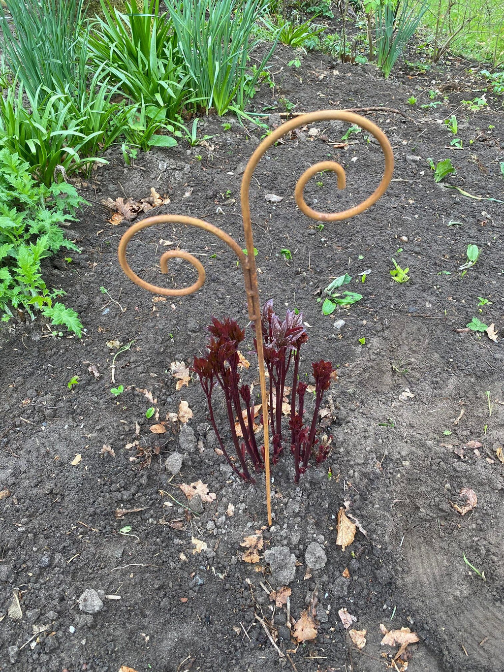 Staudeholder i jern - dobbeltkrog