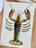 Kort med kuvert Hummer 9 x 13 cm