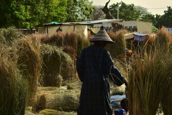 Fair Trade kurve fra Senegal – håndværk med en historie