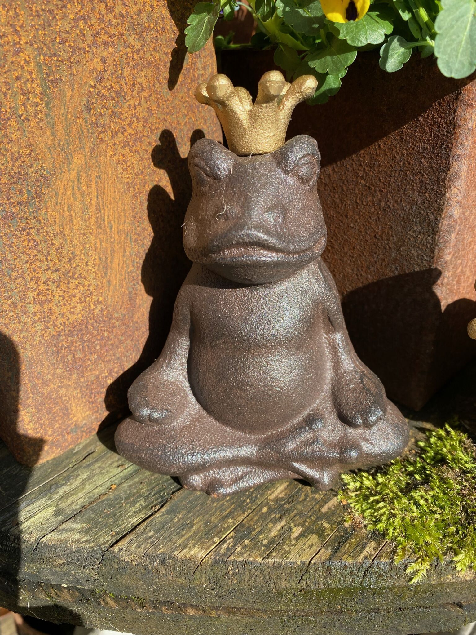 Buddha frø