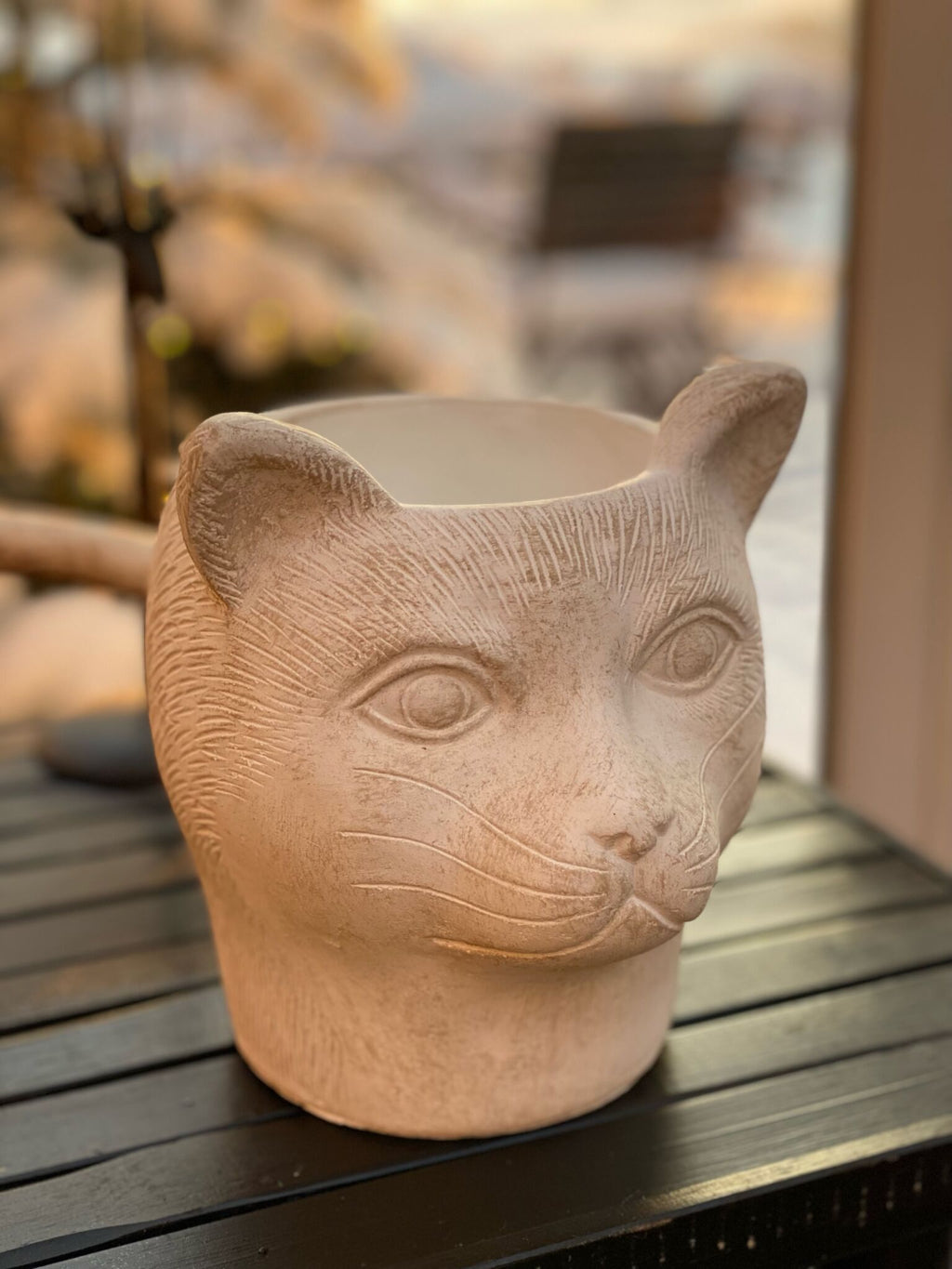 Som hund og kat