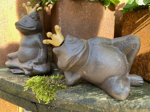 Buddha frø