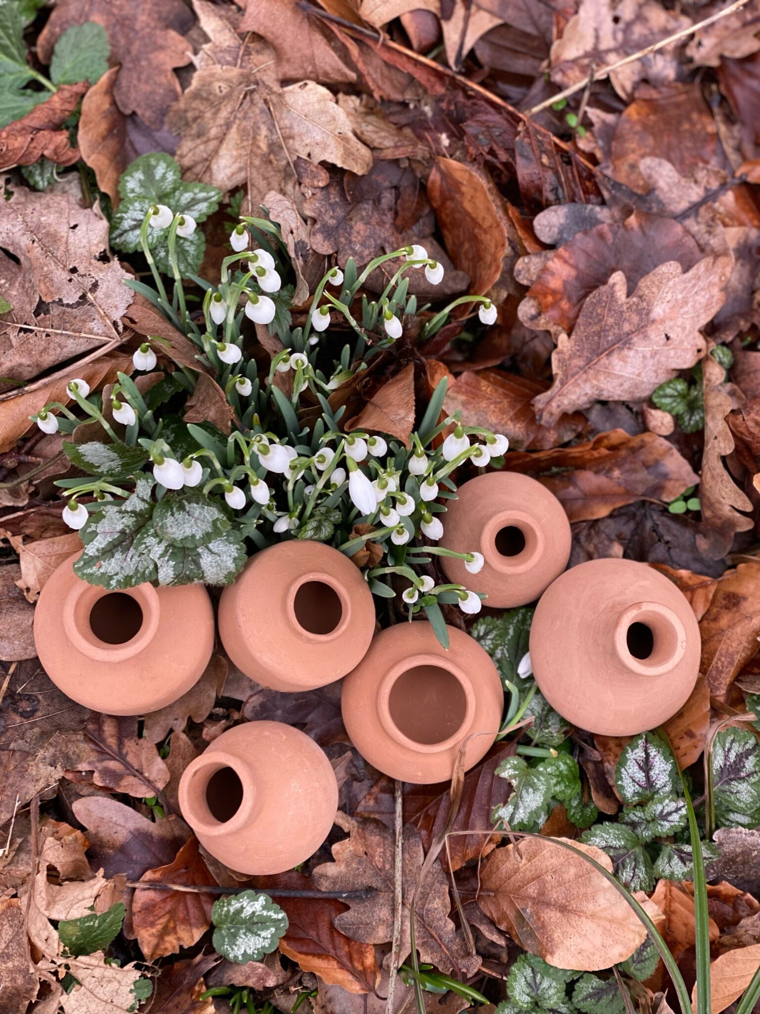 Minivaser i terracotta - 6 stk